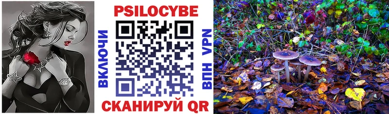 Галлюциногенные грибы Psilocybe  OMG как зайти  Среднеколымск 